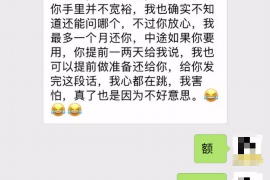 东川东川的要账公司在催收过程中的策略和技巧有哪些？